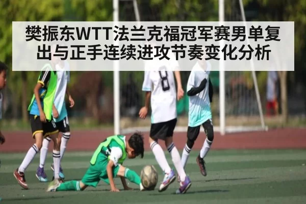 樊振东WTT法兰克福冠军赛男单复出与正手连续进攻节奏变化分析